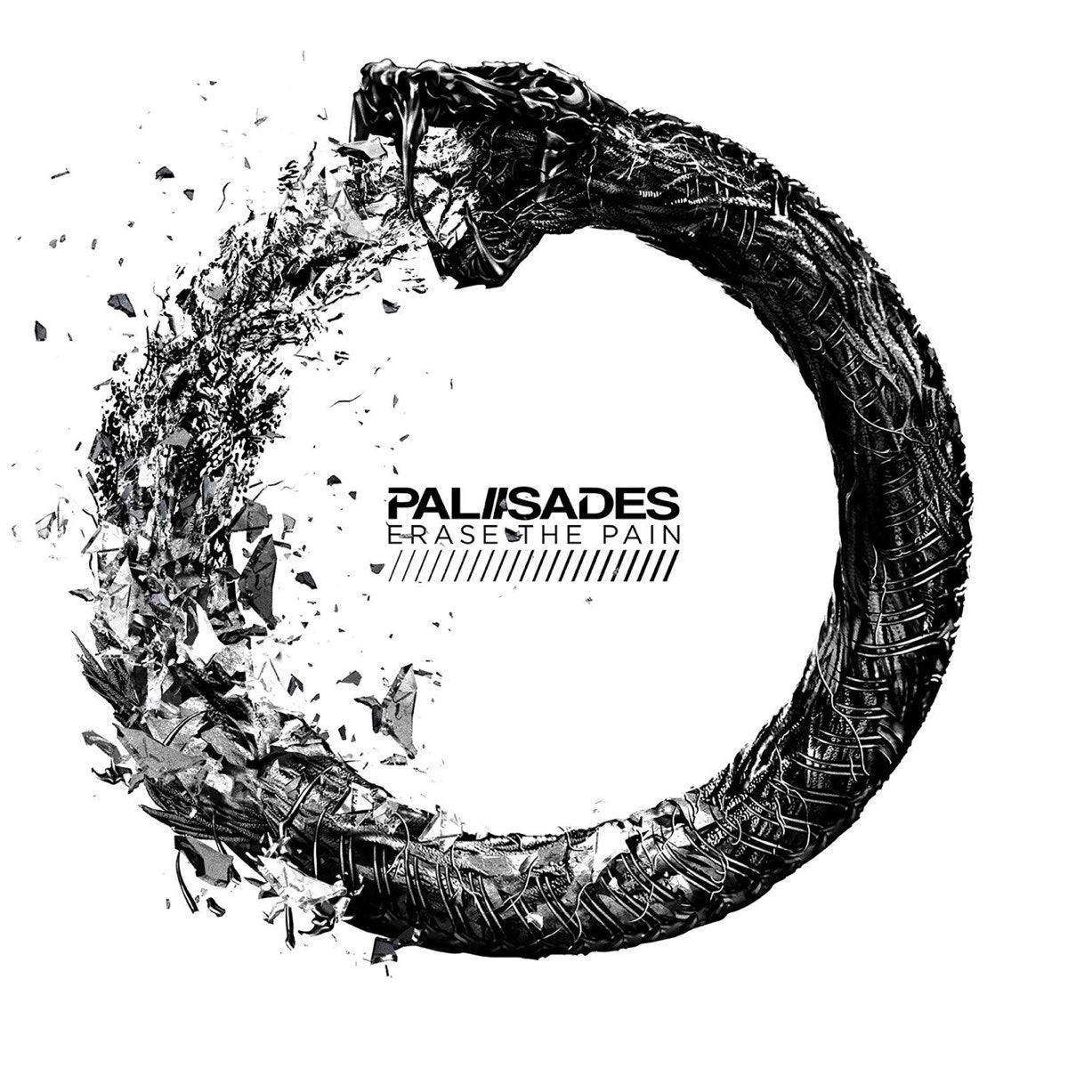 Erase The Pain: Clear & Grey w/ Black Splatter Vinyl LP
